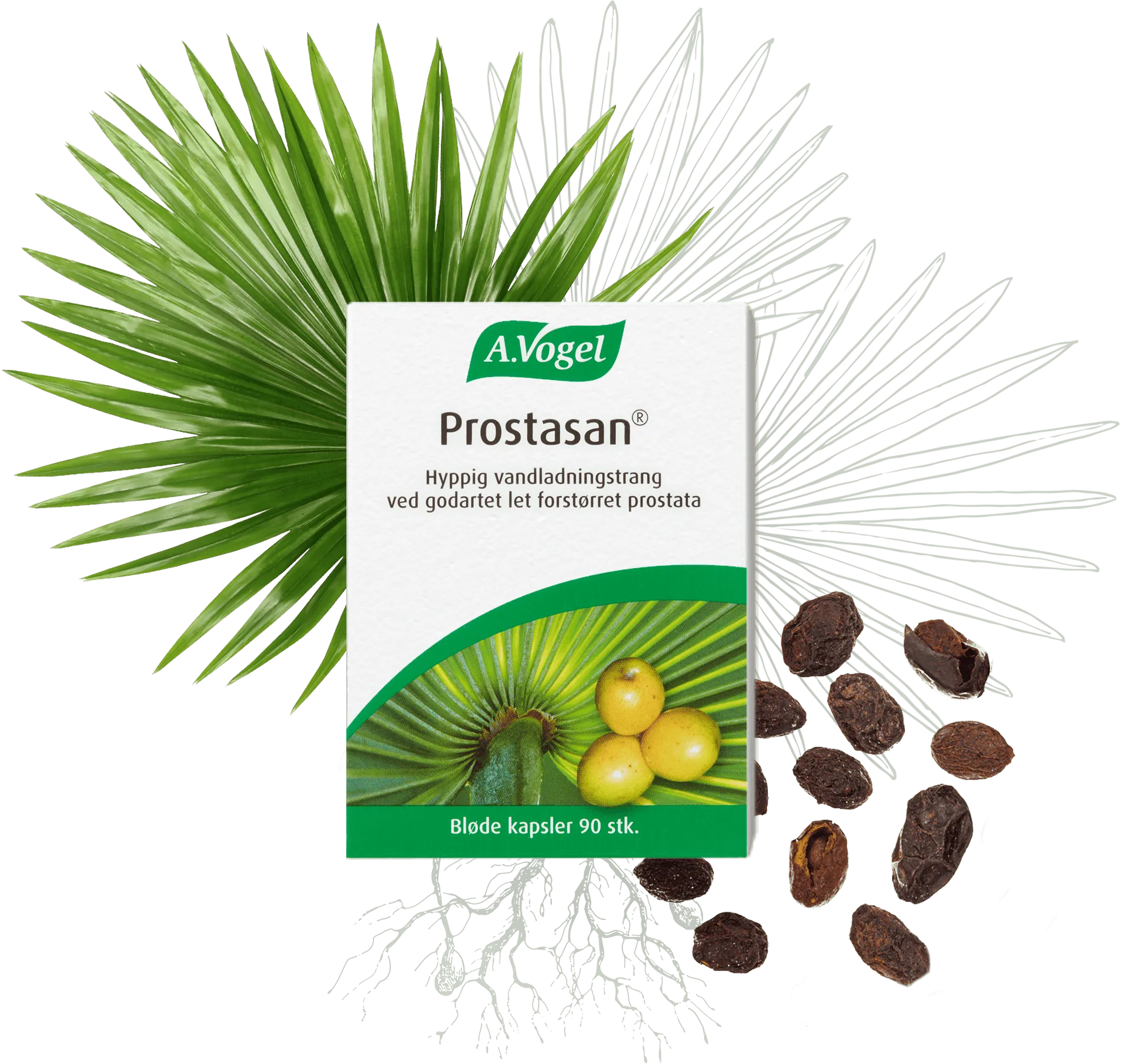 A. Vogel Prostasan