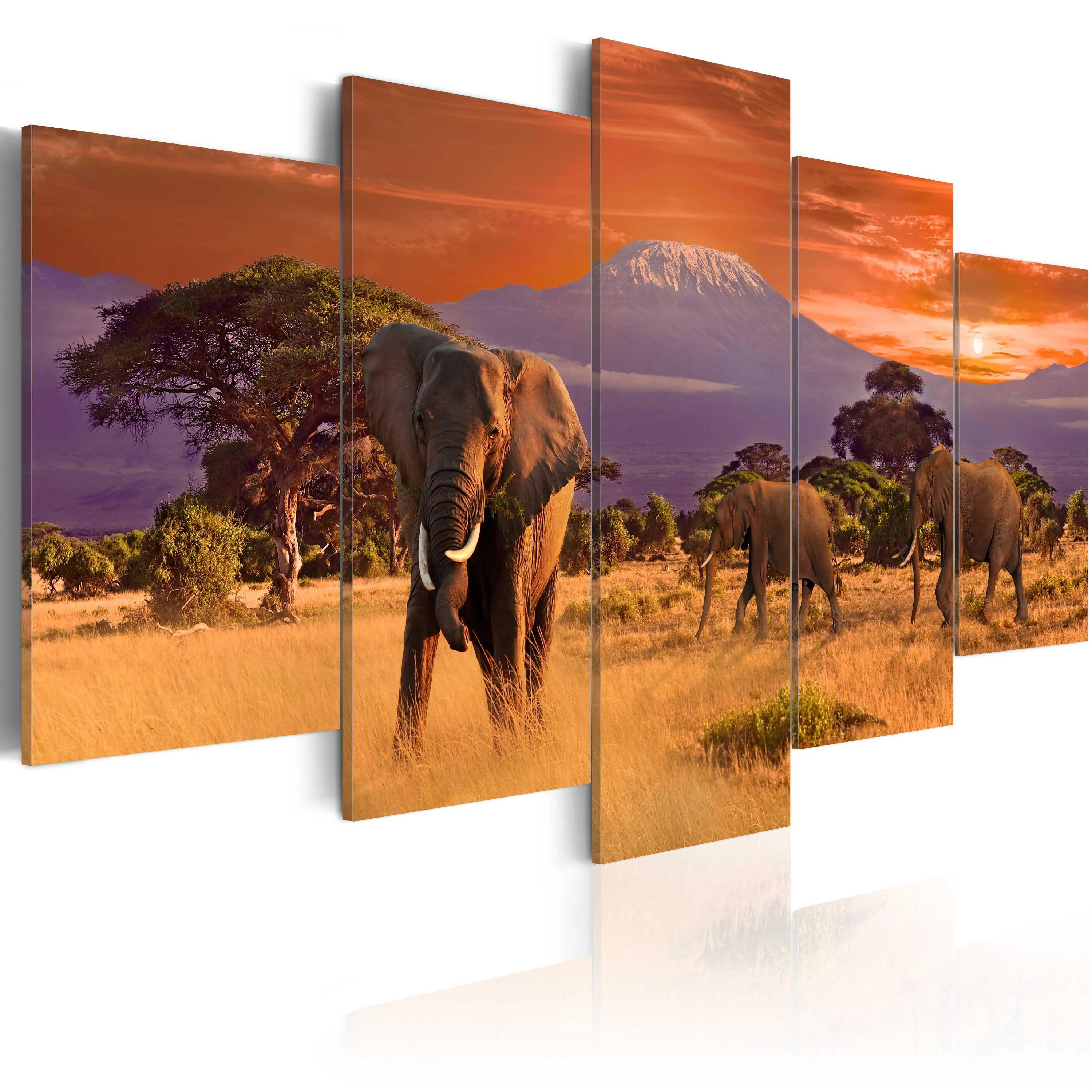 Africa: Elephants