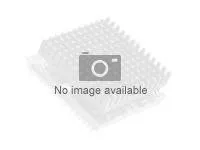 AMD Ryzen 5 5600GT