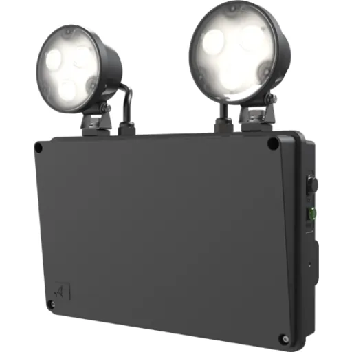 Ansell Lighting Raptor