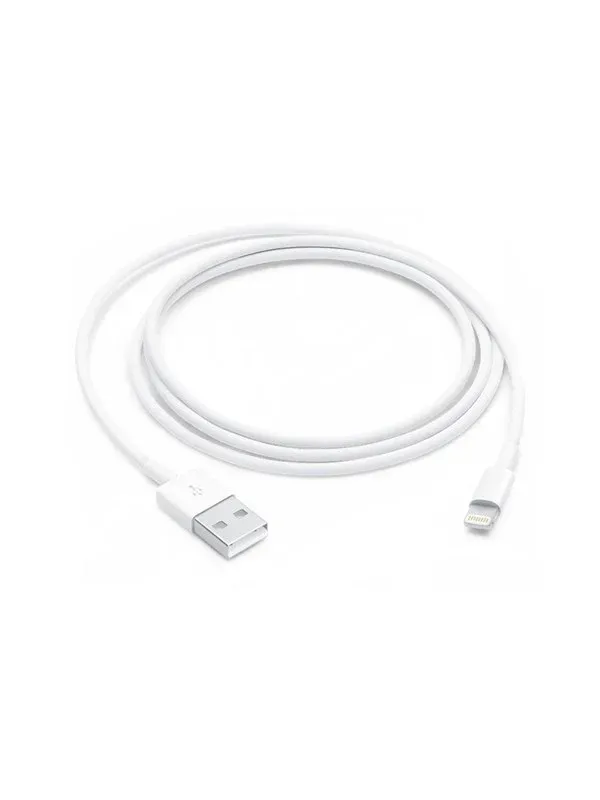 Apple Lightning to USB Cable 1m
