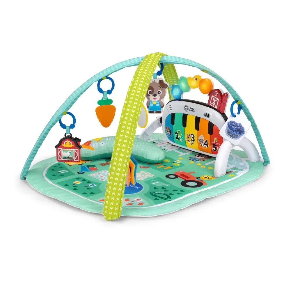 Baby Einstein 4-in-1 Musical Meadow aktivitetstæppe