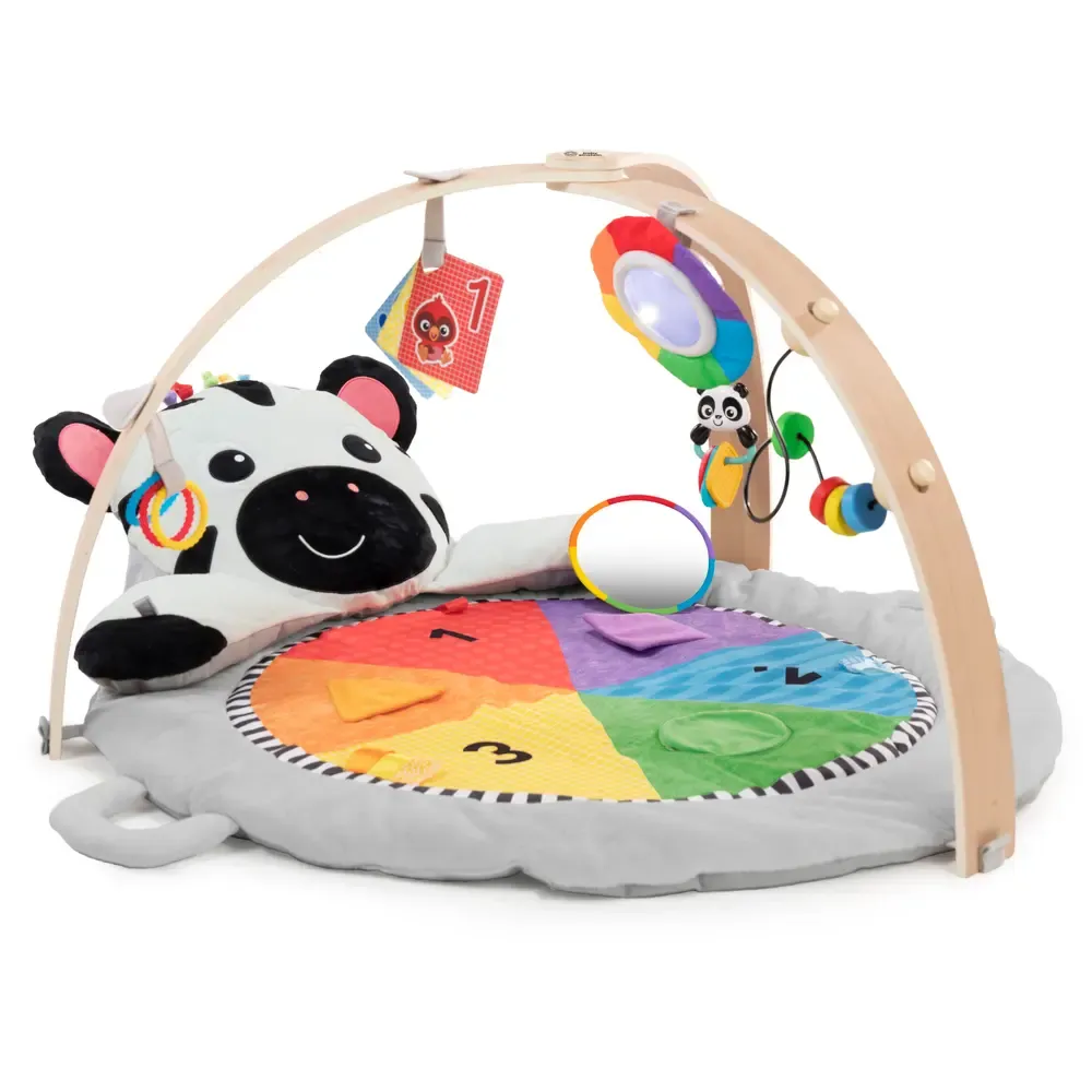 Baby Einstein Zen's Activity Milestones