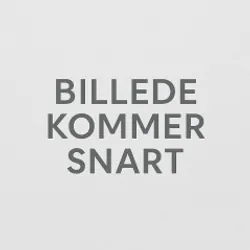 Bang & Olufsen Beolit 20