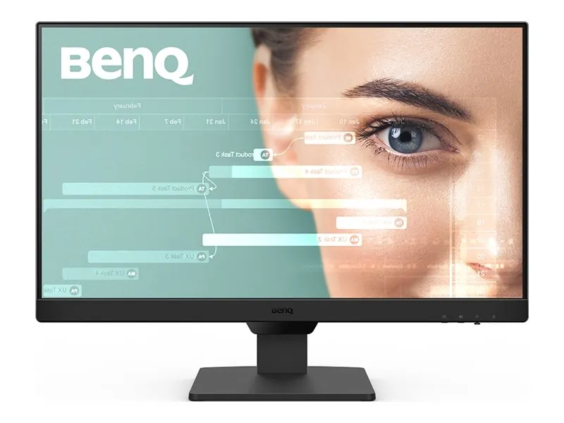 BenQ GW2490