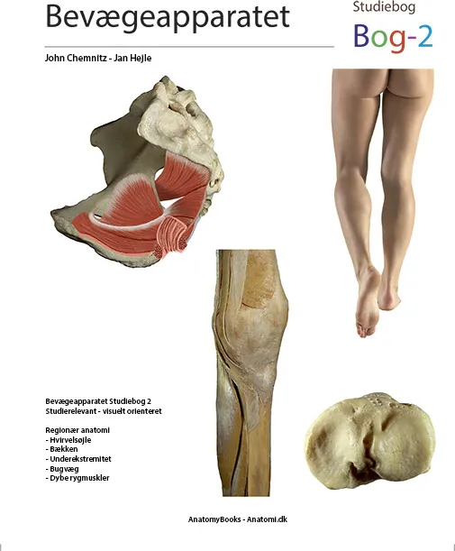 Bevægeapparatet – Jan Hejle