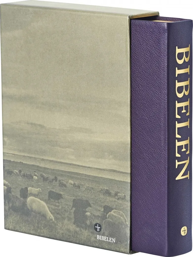 Bibelen Med Det Gamle Testamentes Apokryfe Bøger