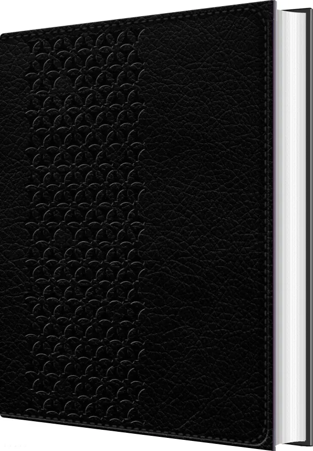 Bibelen På Hverdagsdansk, Sort, Ægte Læder