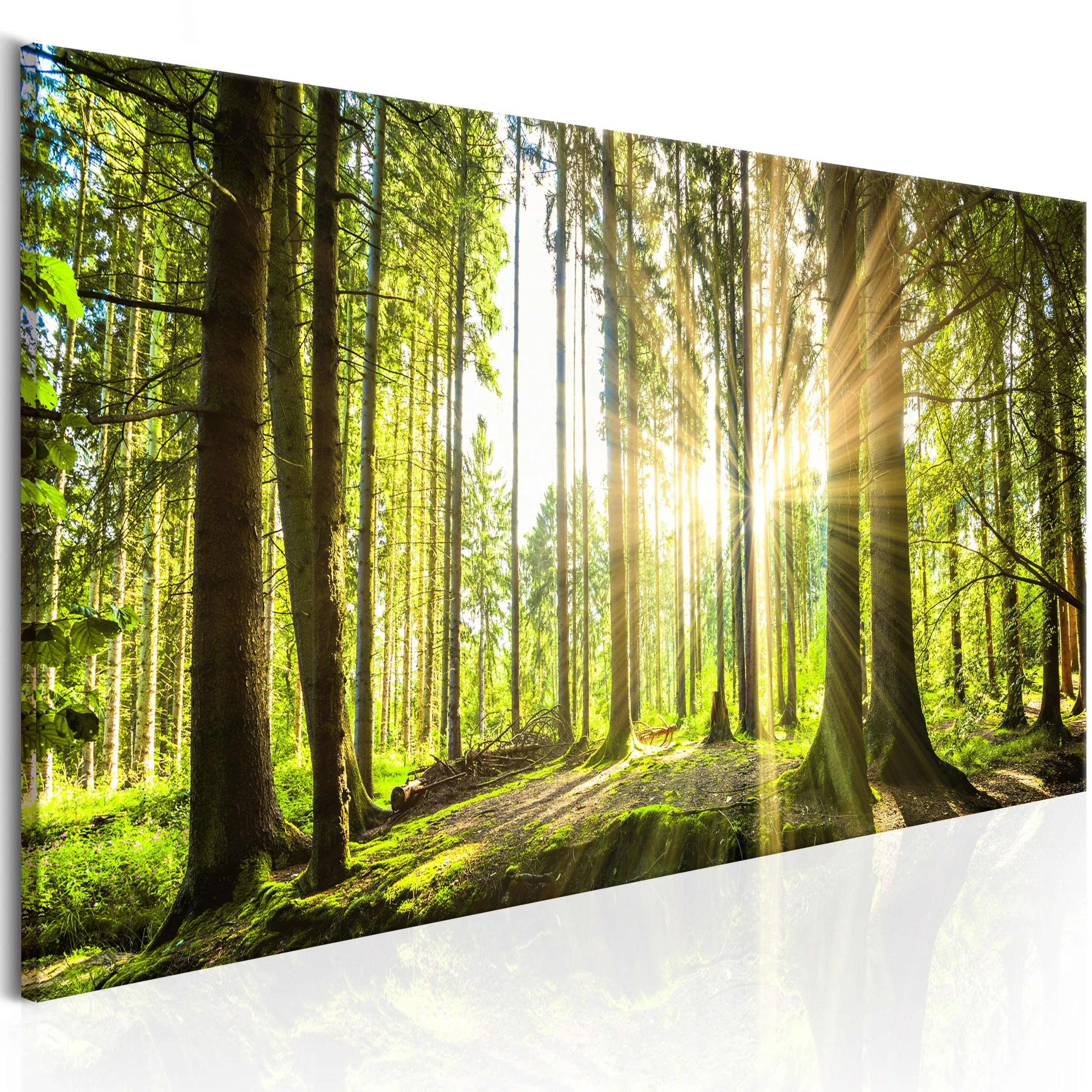 Billede Daylight 120 x 40 cm