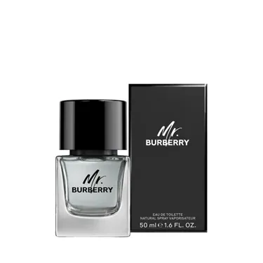 Burberry Mr Burberry Eau De Toilette 100 ml