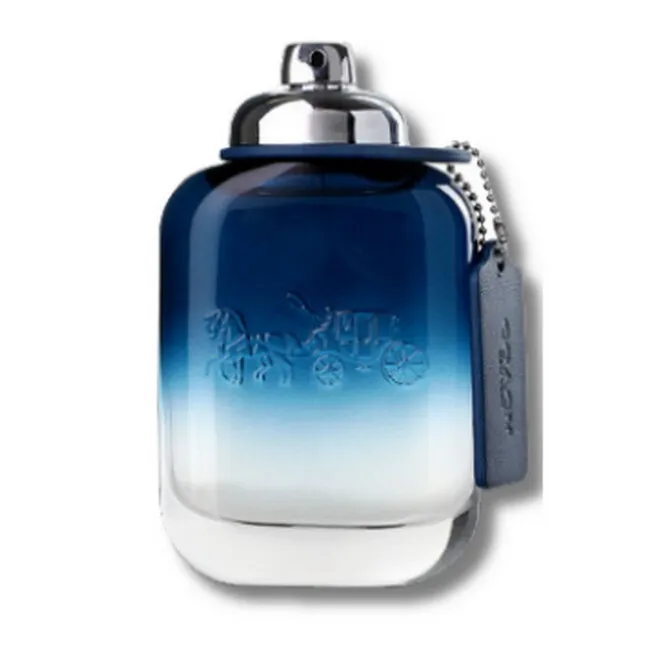 Coach Blue Eau de Toilette 100 ml