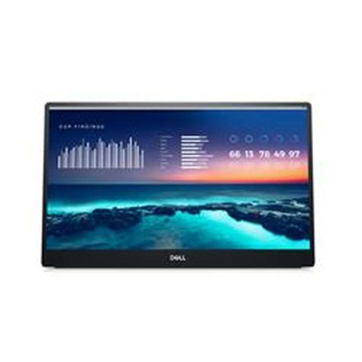 Dell P1424H