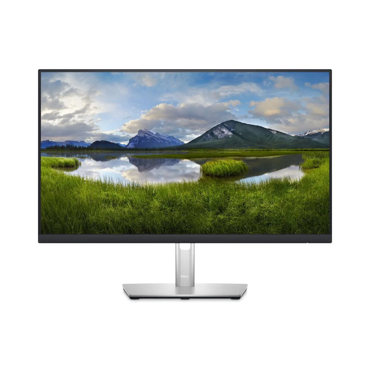 Dell P2423DE