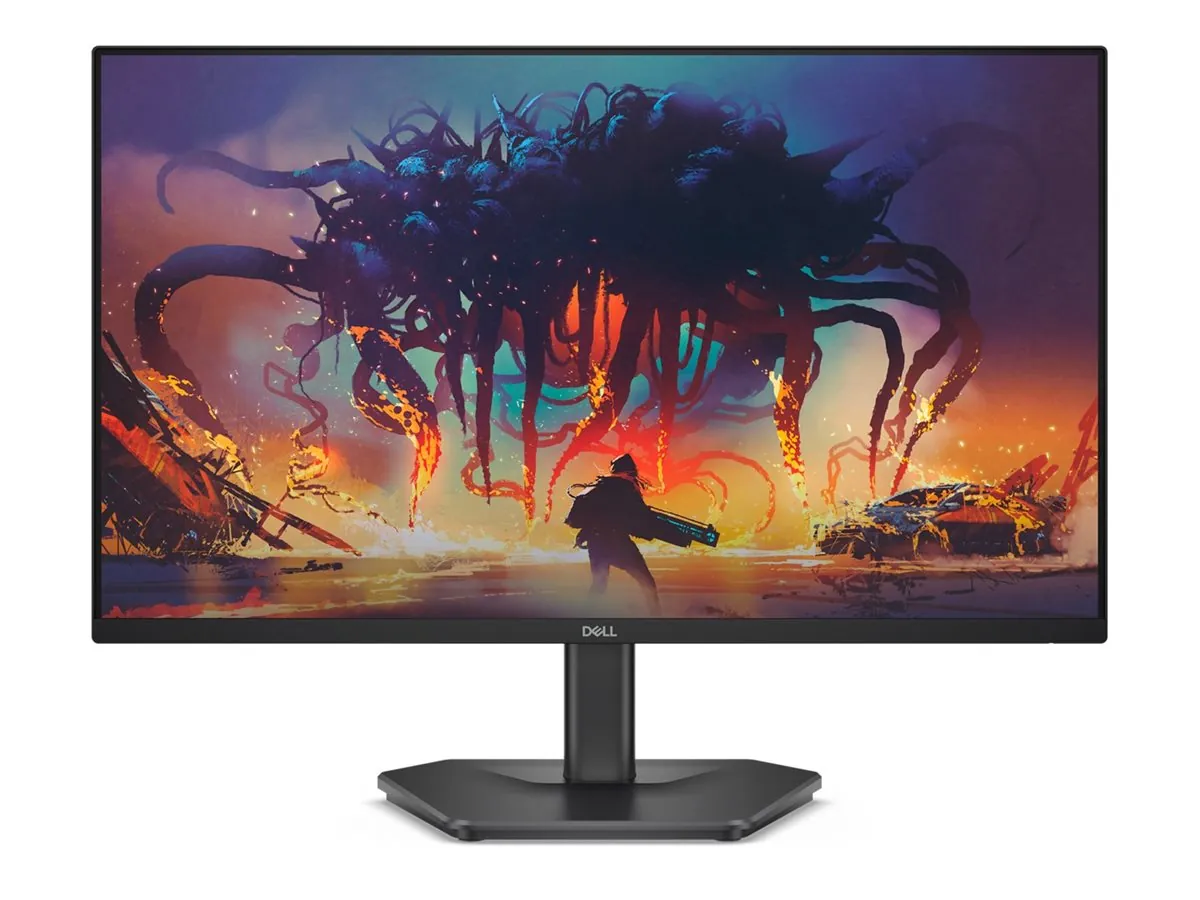 Dell SE2425HG