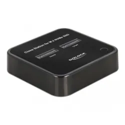 DeLOCK SSD Docking Station M.2 NVMe Card