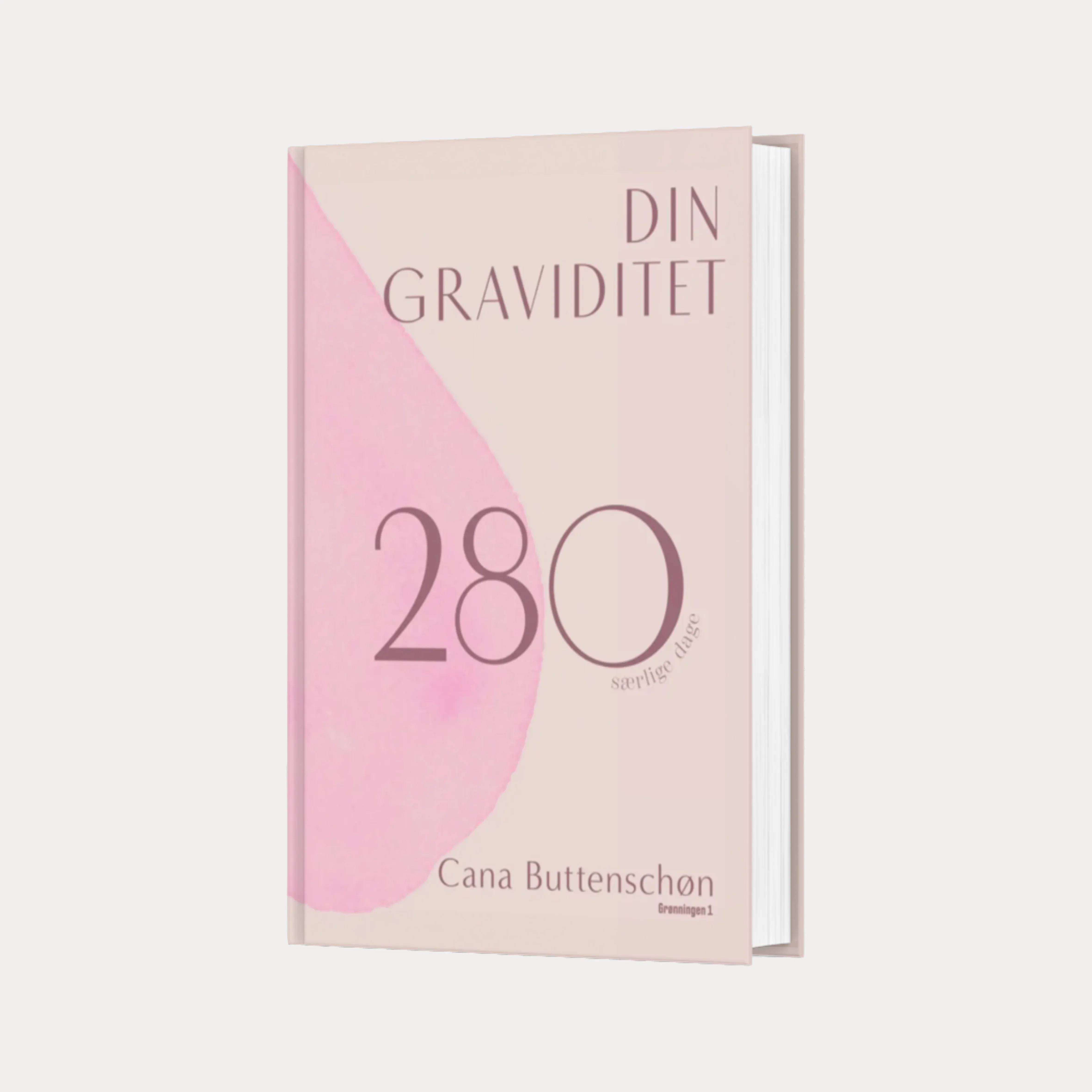 Din Graviditet Cana Buttenschøn Bog