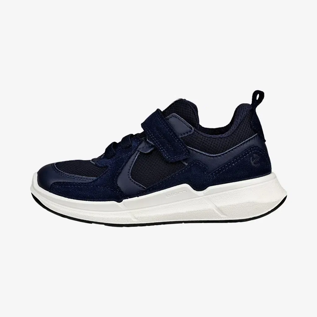 ECCO Biom 2.2
