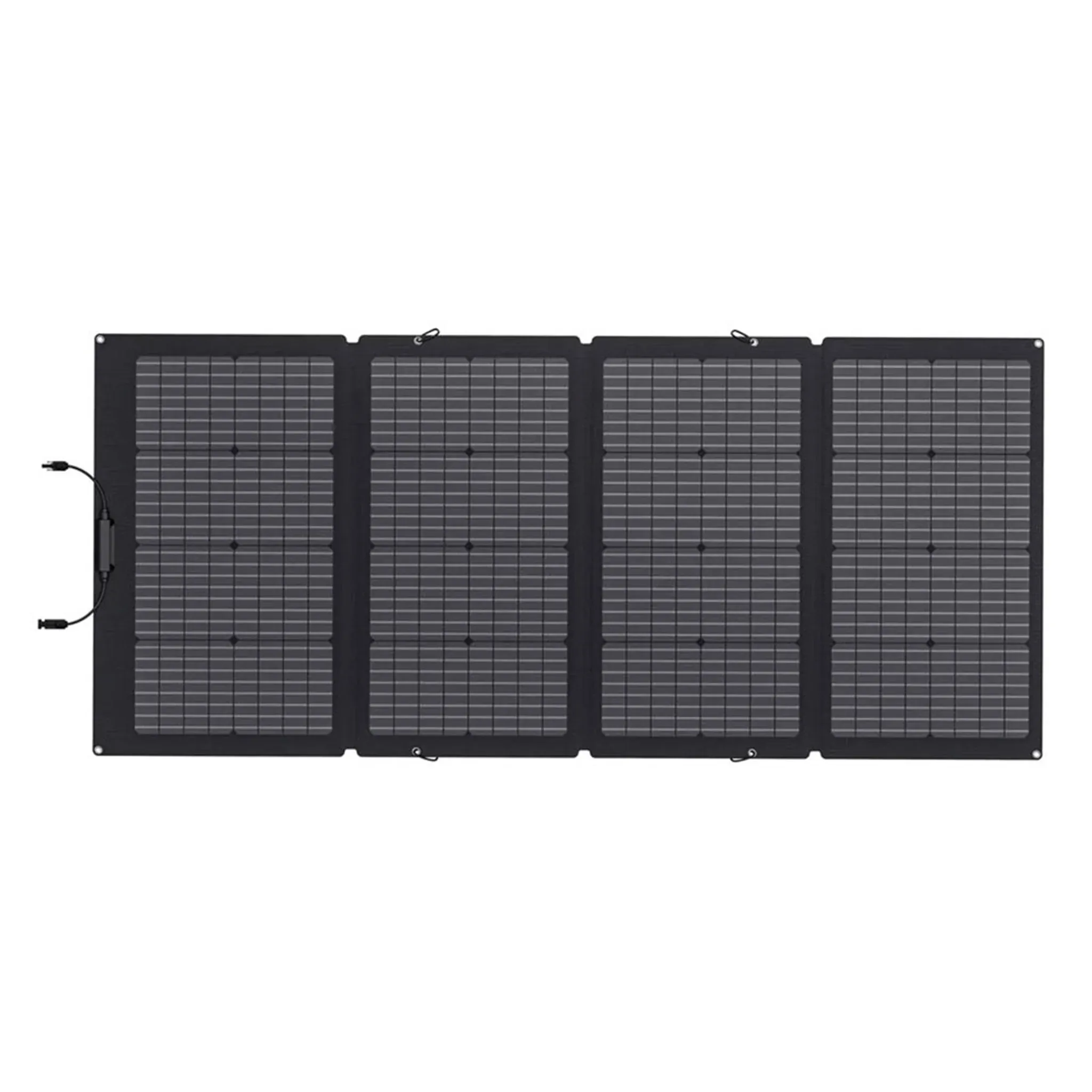 EcoFlow Solar Panel 220W