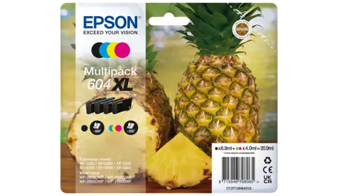 Epson Ink Multipack 604XL