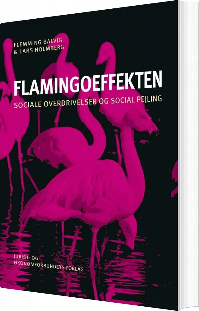 Flamingoeffekten Flemming Balvig