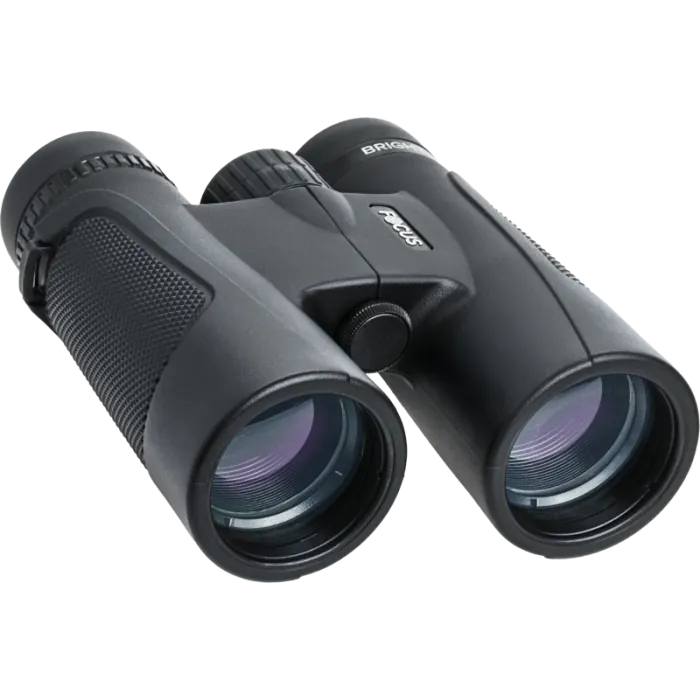 Focus Bright Kikkert 10x42