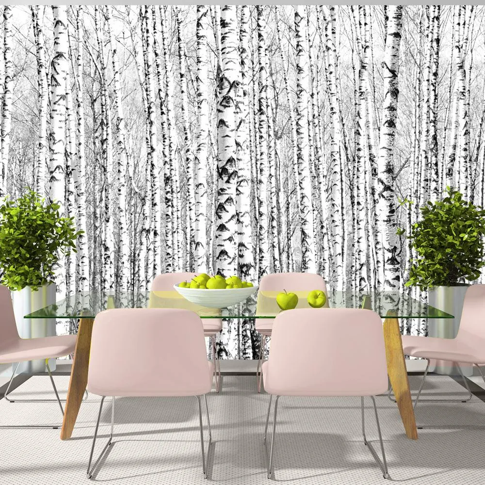 Fototapet Birch Forest 350 x 245 cm