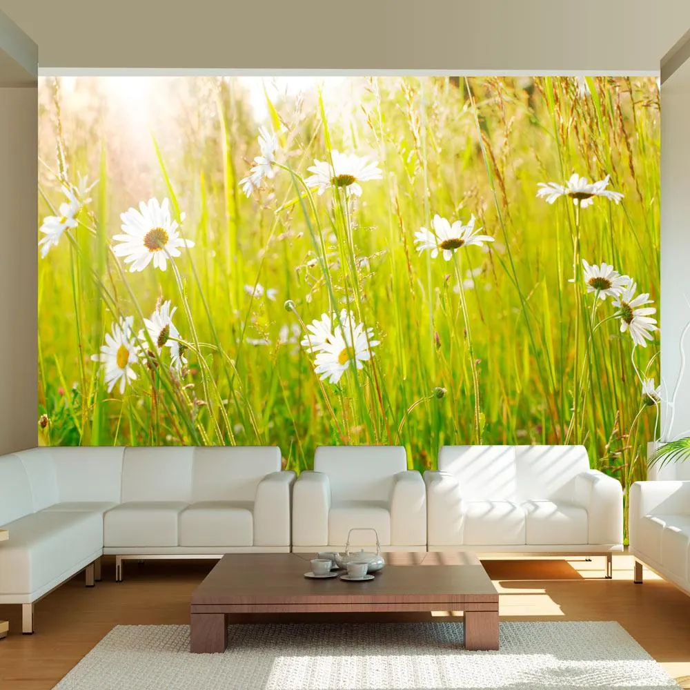 Fototapet Daisy felt