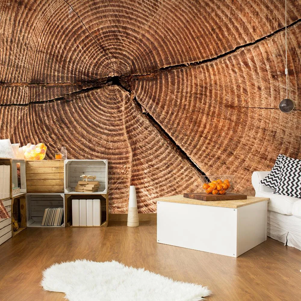 Fototapet Træstamme Tværsnit 200 x 154 cm