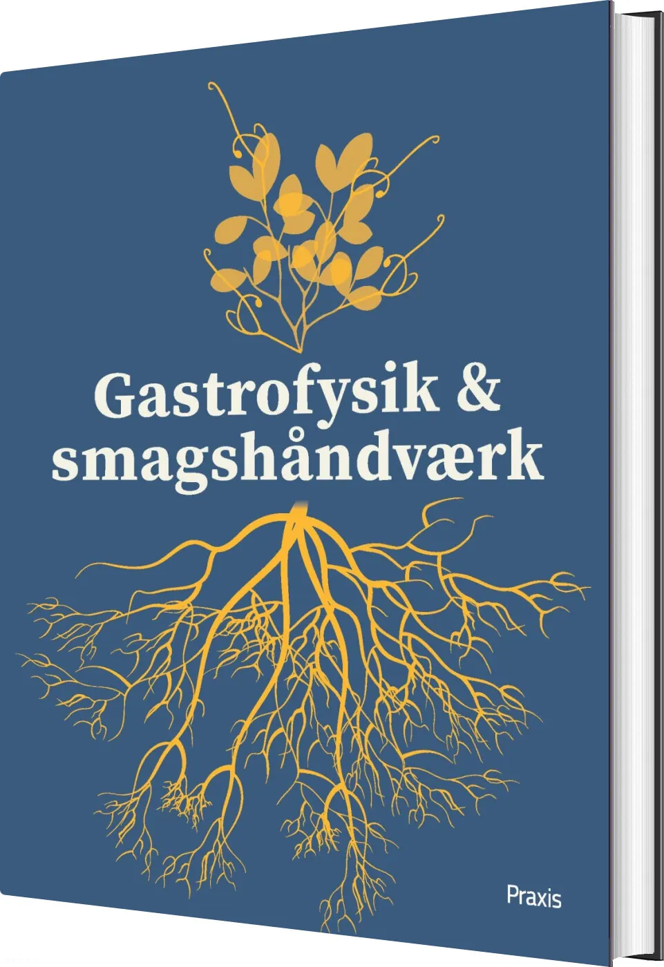 Gastrofysik og Smagshåndværk