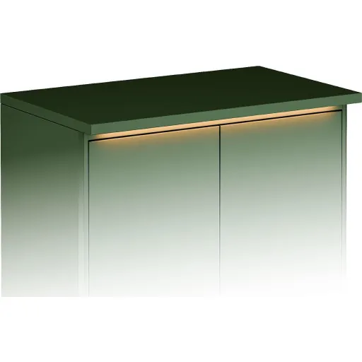 Gustavsberg Graphic topplade belysning 60x36 cm grøn