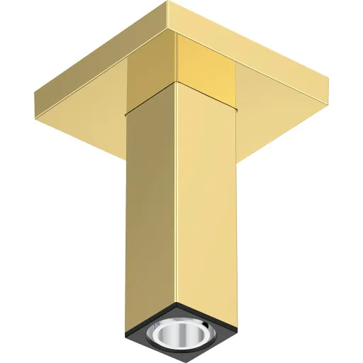 Hansgrohe brusearm 10 cm guld