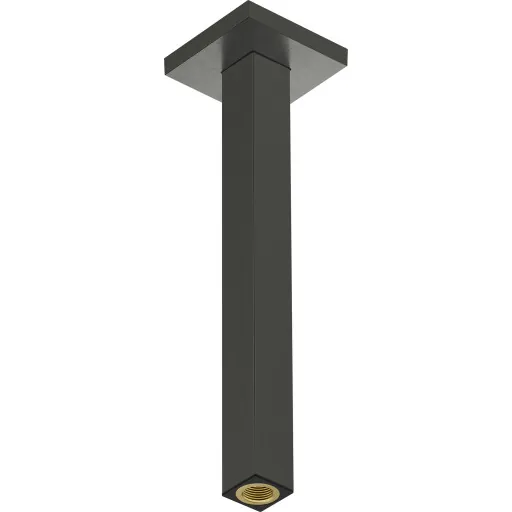 Hansgrohe brusearm 30 cm børstet sort krom