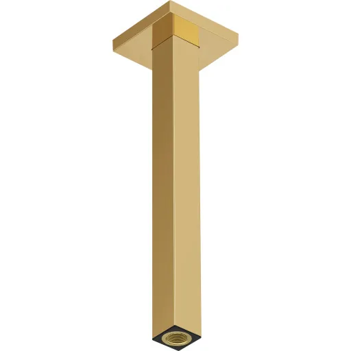Hansgrohe brusearm 30 cm guld