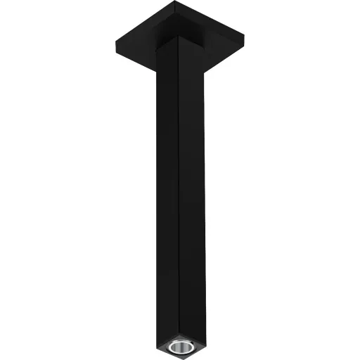 Hansgrohe brusearm 30 cm mat sort