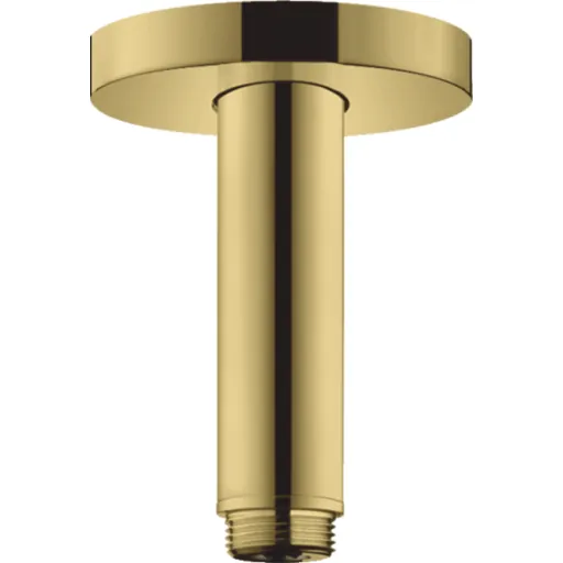 Hansgrohe brusearm S 10 cm guld