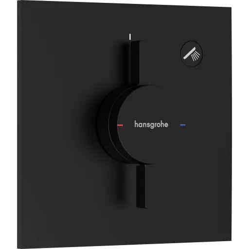 Hansgrohe DuoTurn E