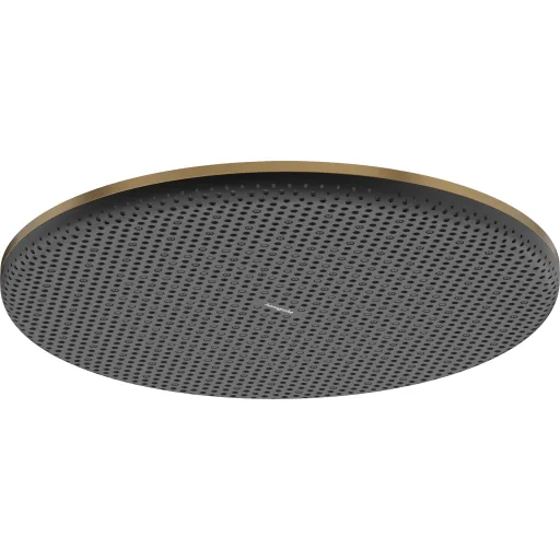 Hansgrohe Raindance Alive S