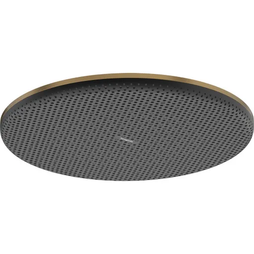 Hansgrohe Raindance Alive S