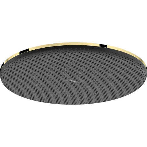 Hansgrohe Raindance Alive S