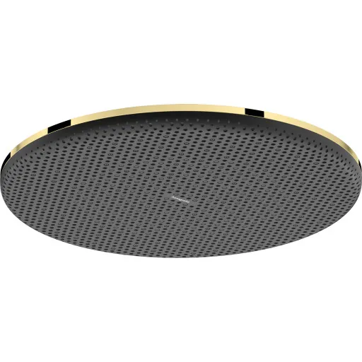 Hansgrohe Raindance Alive S