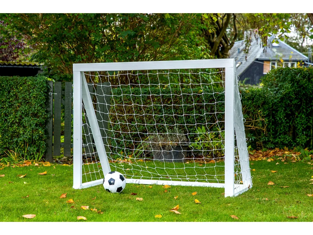 Homegoal Pro Mini