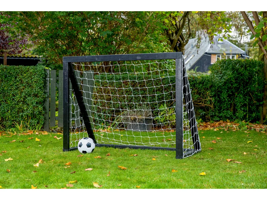 Homegoal Pro Mini
