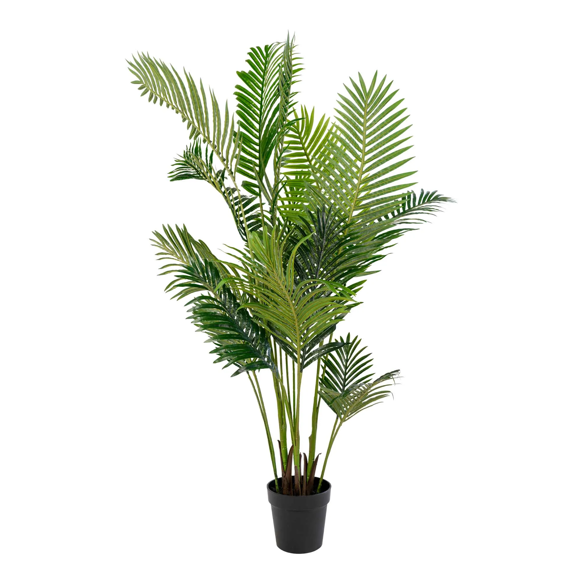 House Nordic Areca Palme