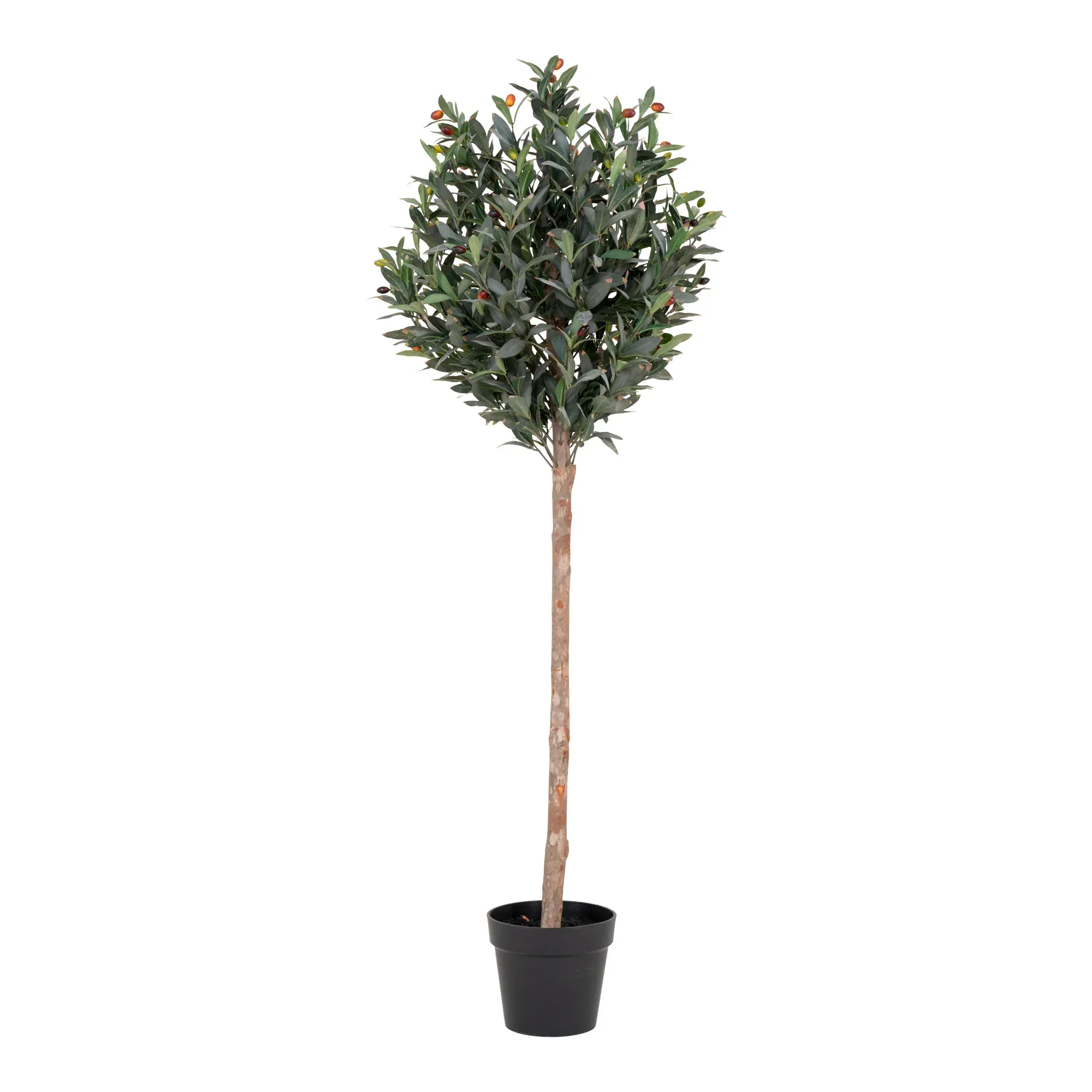 House Nordic Oliventræ Kunstig Plante