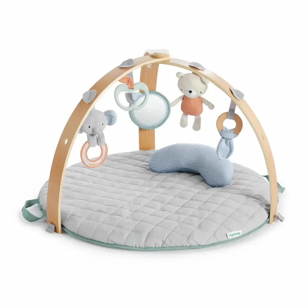 Ingenuity Reversible Activity Gym