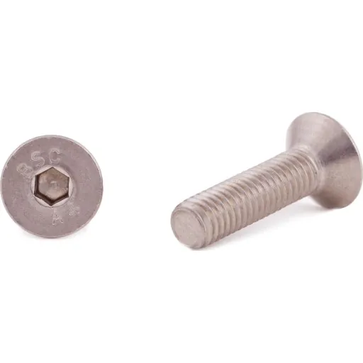 Insexskrue M6 x 10 mm, 500 stk.