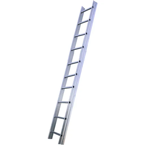 Jumbo Proff Tagstige 3 meter 10 trin