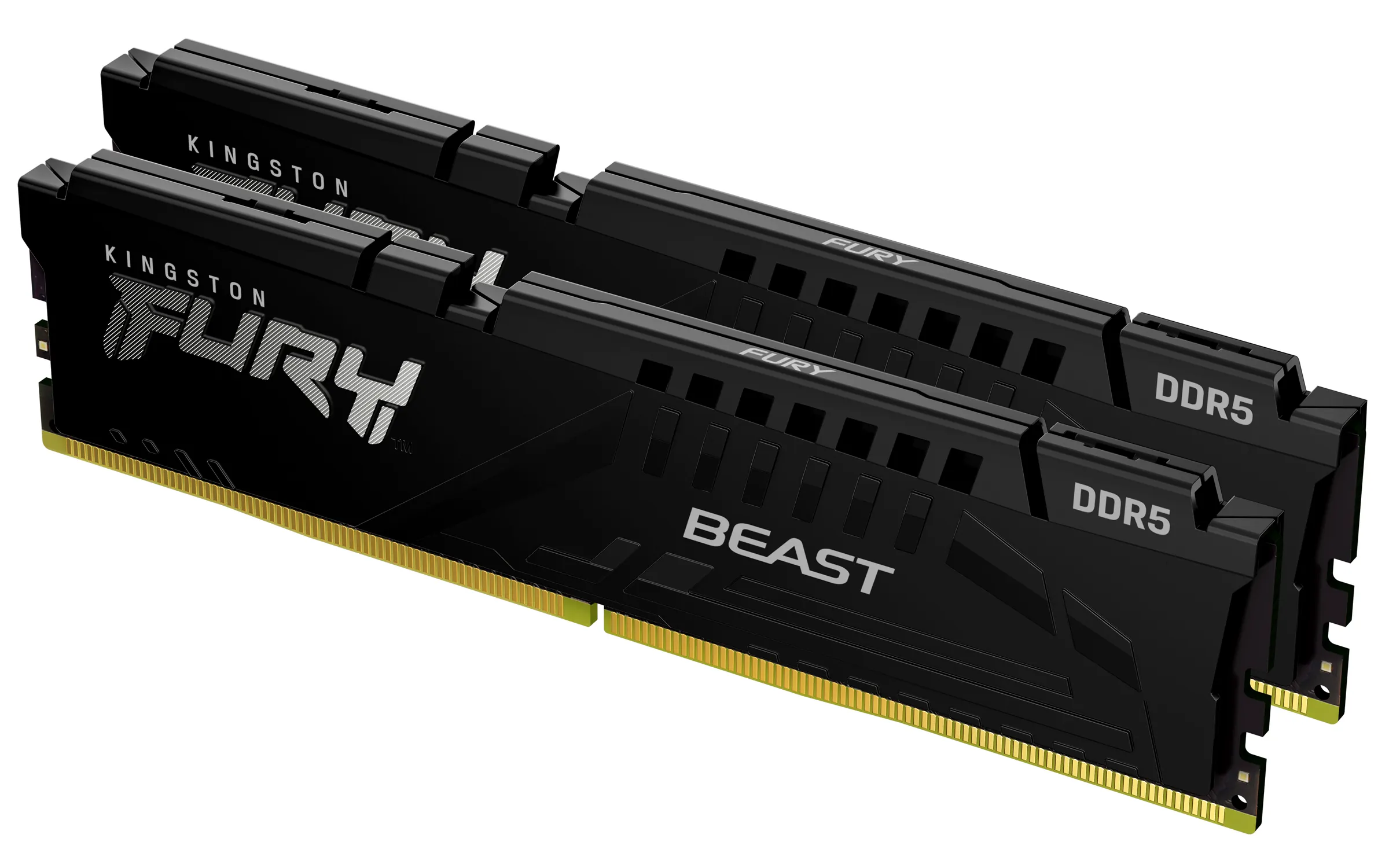 Kingston FURY Beast DDR5