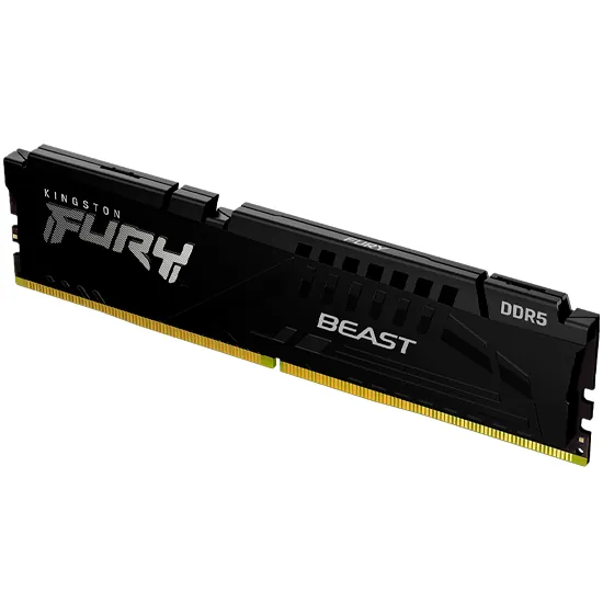 Kingston FURY Beast DDR5 16GB
