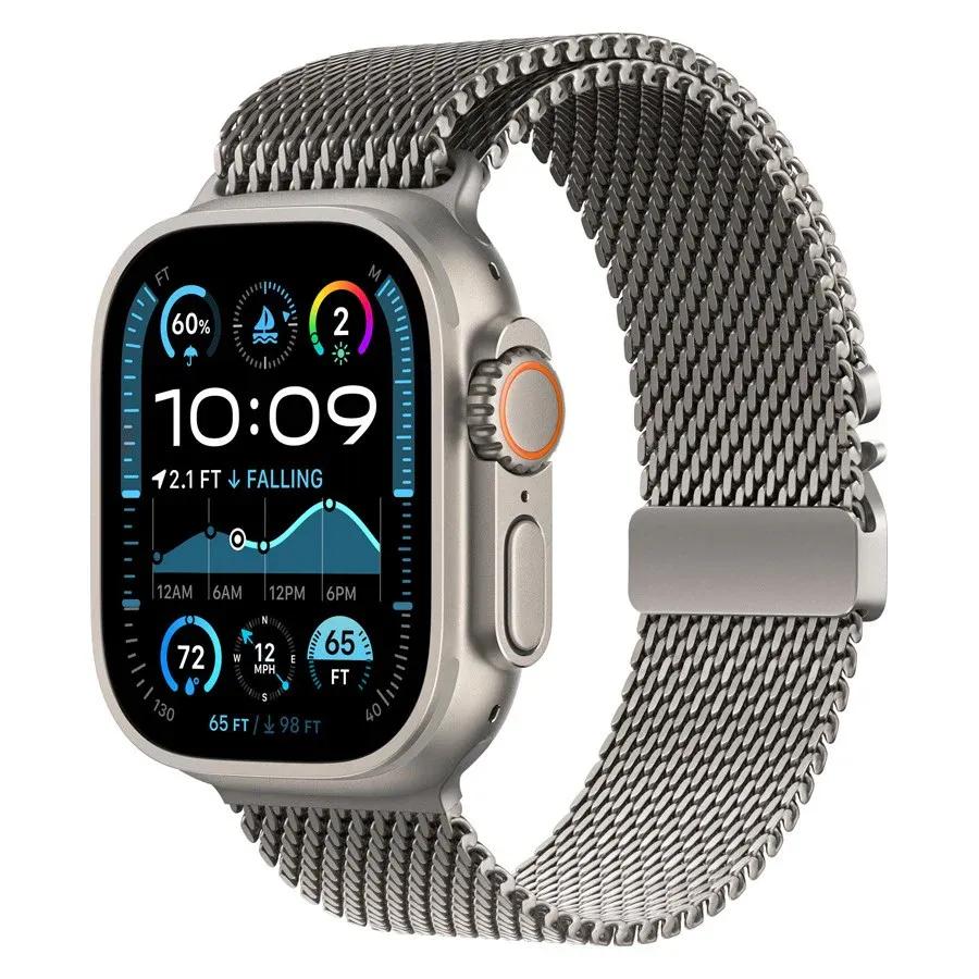 Lippa Apple Watch Titanium Rem